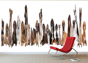22 puppy dogs in a row in front of a white background Wall Mural Wallpaper - Canvas Art Rocks - 2