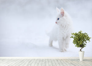 Kitten White as Snow Wall Mural Wallpaper - Canvas Art Rocks - 4