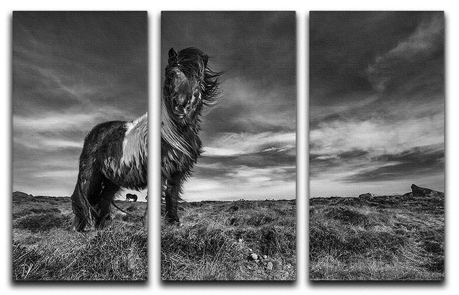 Horse Standing 3 Split Panel Canvas Print - Canvas Art Rocks - 1