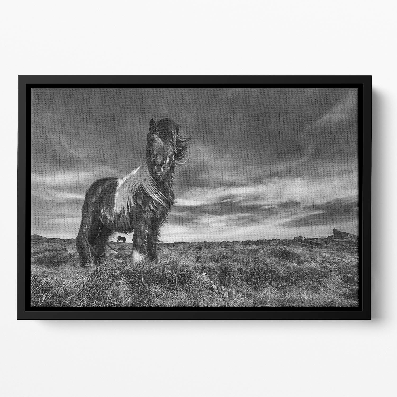 Horse Standing Floating Framed Canvas - Canvas Art Rocks - 2