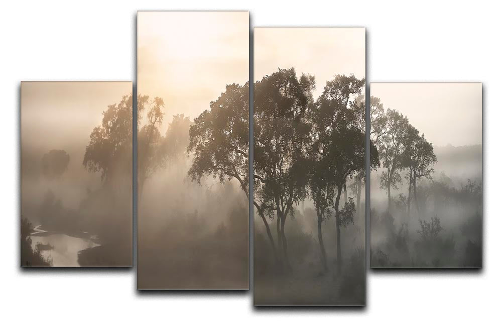 Savana Sunrise 4 Split Panel Canvas - Canvas Art Rocks - 1