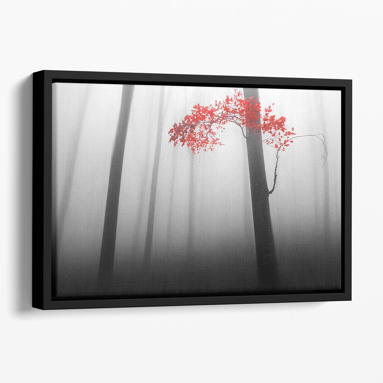 Illusion Floating Framed Canvas - Canvas Art Rocks - 1