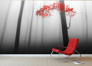 Illusion Wall Mural Wallpaper - Canvas Art Rocks - 2