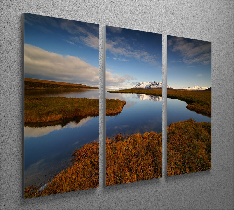 Dreams 3 Split Panel Canvas Print - Canvas Art Rocks - 2