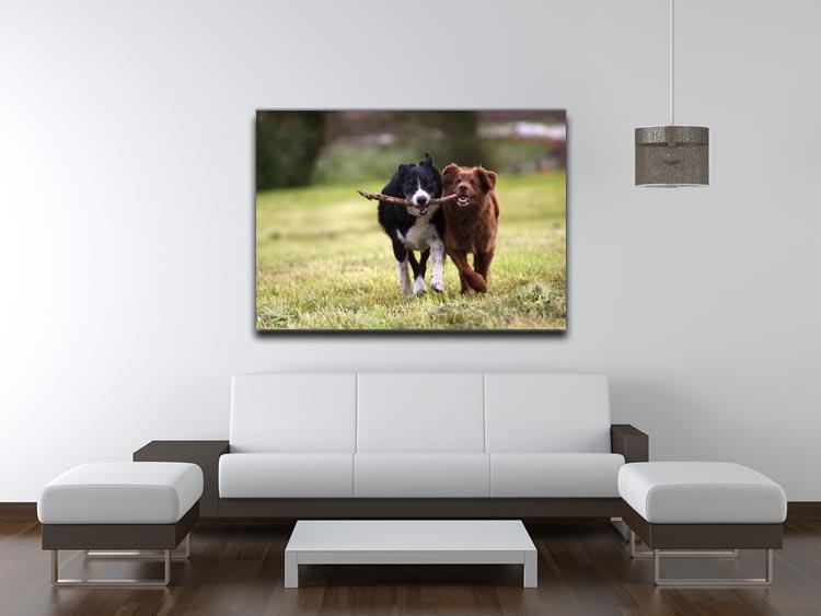 2 border collie dogs fetching a stick in open field Canvas Print or Poster - Canvas Art Rocks - 4
