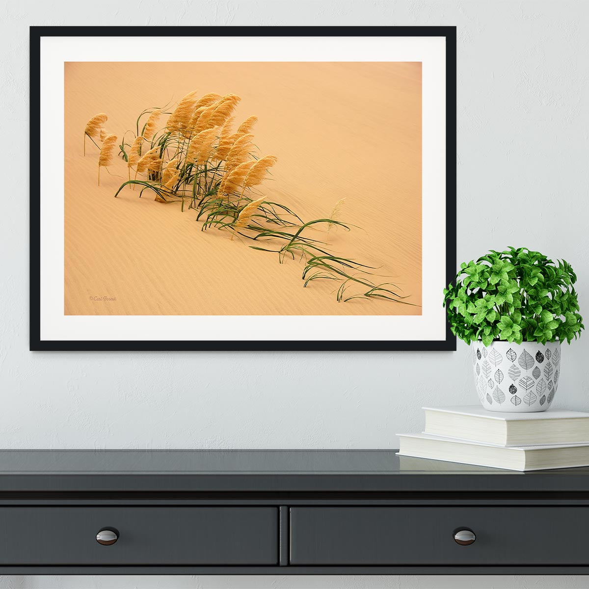 Pampas Grass In Sand Dune Framed Print - Canvas Art Rocks - 1