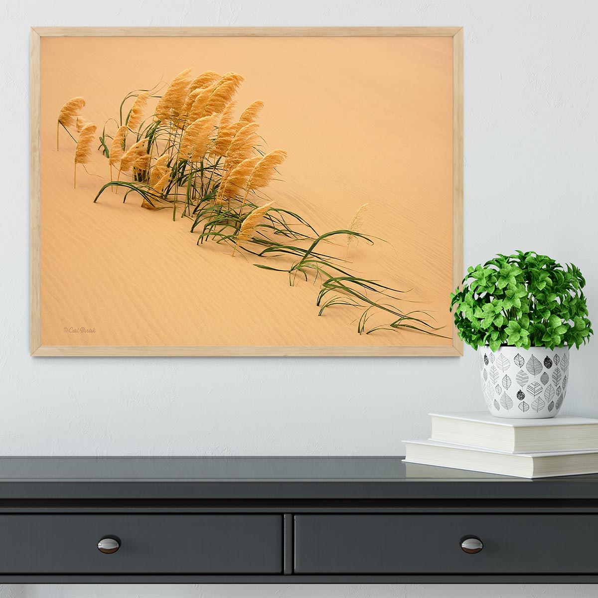 Pampas Grass In Sand Dune Framed Print - Canvas Art Rocks - 4