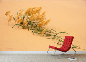 Pampas Grass In Sand Dune Wall Mural Wallpaper - Canvas Art Rocks - 2