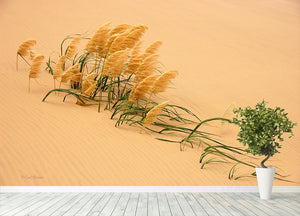 Pampas Grass In Sand Dune Wall Mural Wallpaper - Canvas Art Rocks - 4