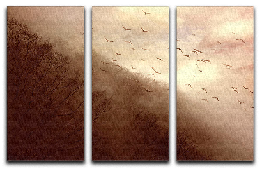 Departure 3 Split Panel Canvas Print - Canvas Art Rocks - 1