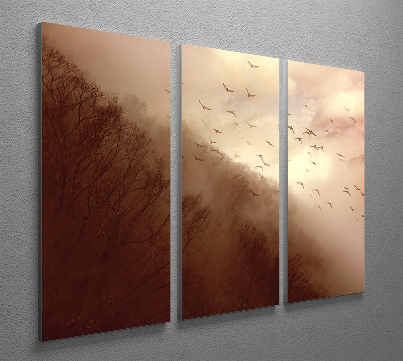 Departure 3 Split Panel Canvas Print - Canvas Art Rocks - 2
