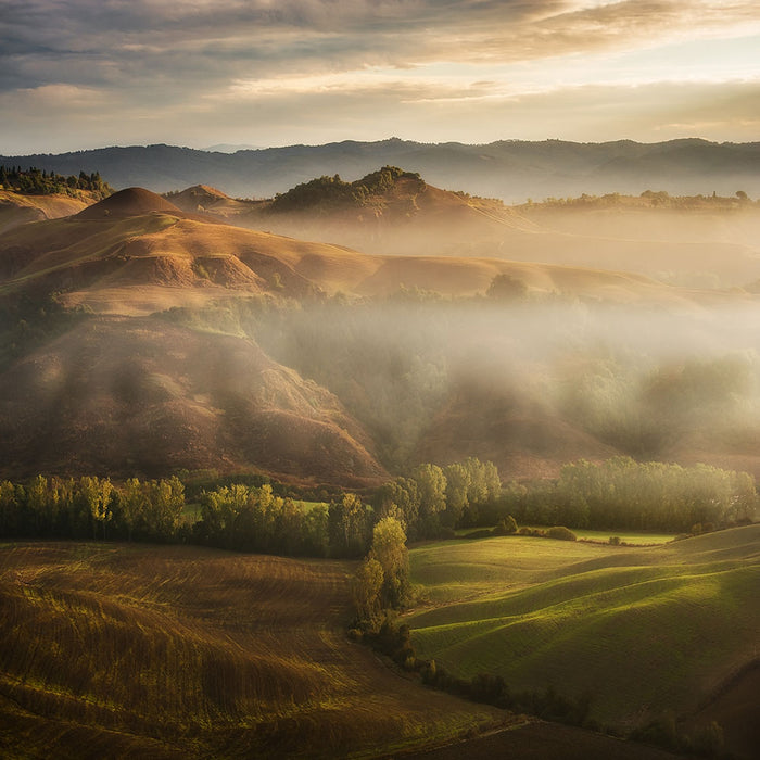 Mystical Waving Fields Tuscany Wall Mural Wallpaper