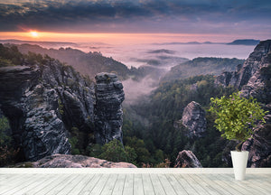 Sunrise On The Rocks Wall Mural Wallpaper - Canvas Art Rocks - 4