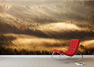 Autumn Rays Wall Mural Wallpaper - Canvas Art Rocks - 2