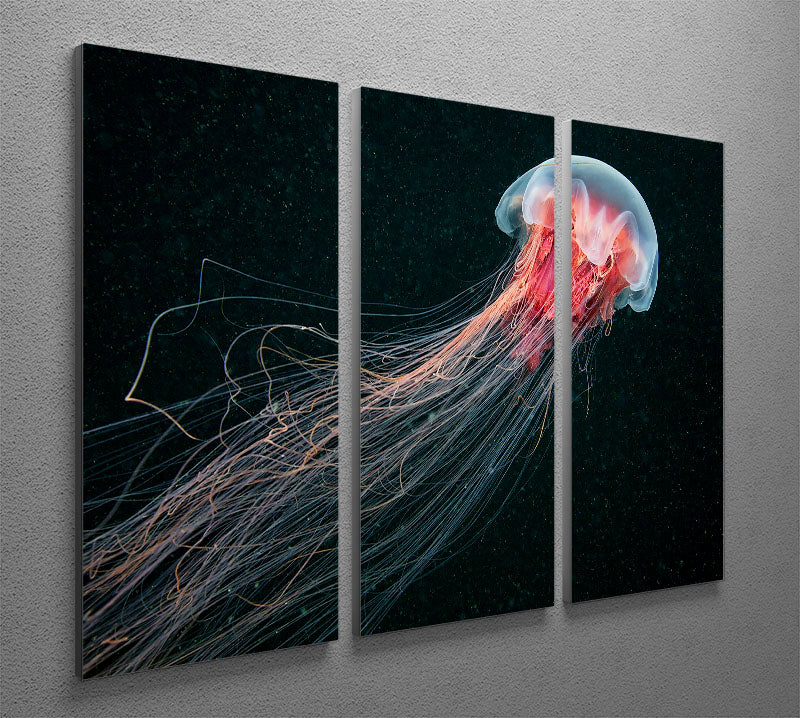 Longtail 3 Split Panel Canvas Print - Canvas Art Rocks - 2