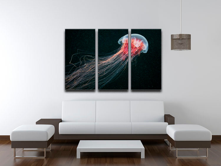 Longtail 3 Split Panel Canvas Print - Canvas Art Rocks - 3
