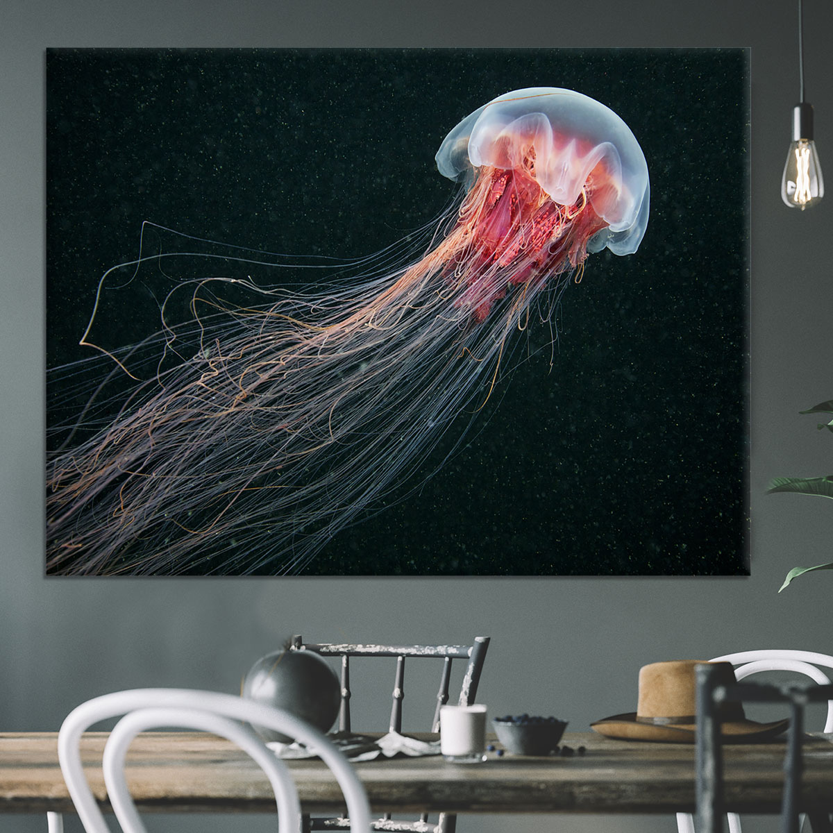 Longtail Canvas Print or Poster - Canvas Art Rocks - 3