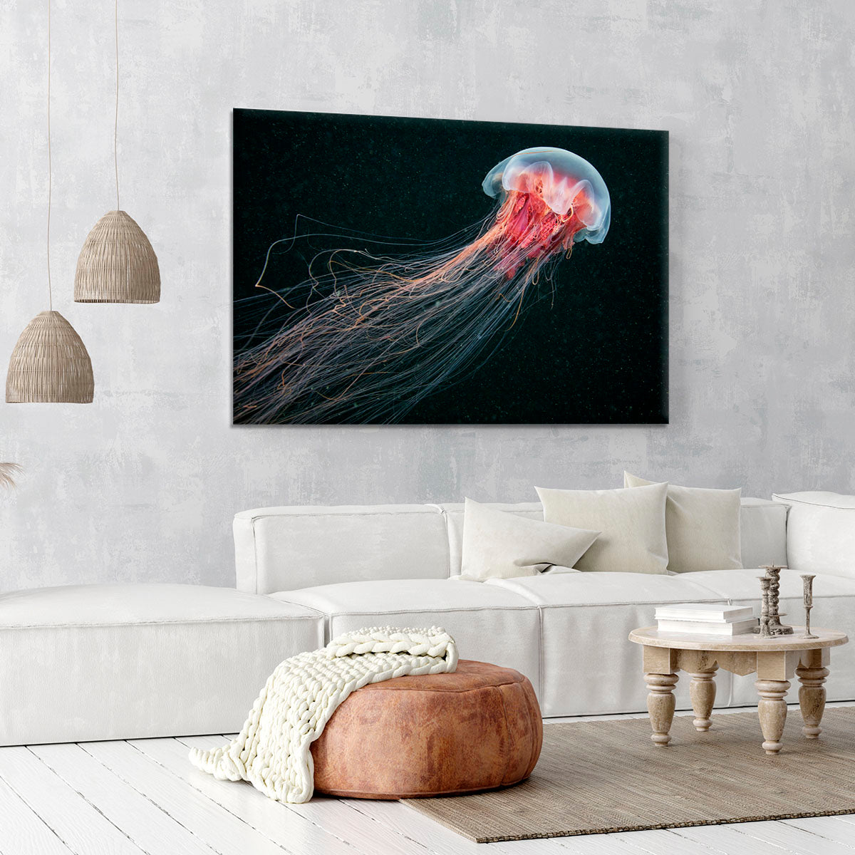 Longtail Canvas Print or Poster - Canvas Art Rocks - 6