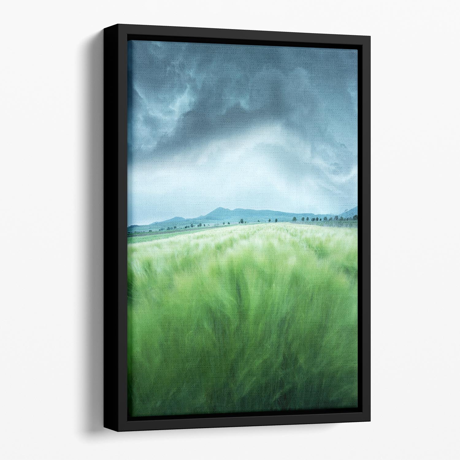 Barley Field Floating Framed Canvas - Canvas Art Rocks - 1