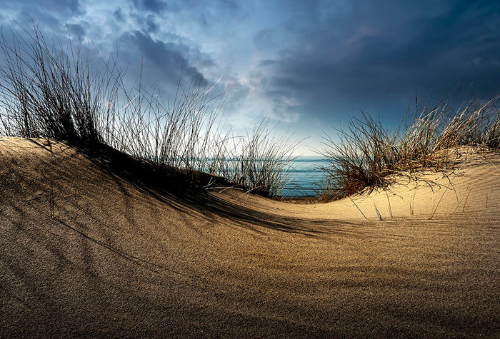 Dunes Wall Mural Wallpaper