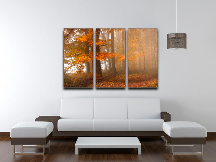 Edge Of The Woods 3 Split Panel Canvas Print - Canvas Art Rocks - 3