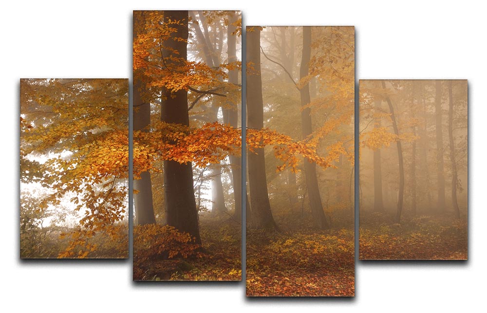 Edge Of The Woods 4 Split Panel Canvas - Canvas Art Rocks - 1
