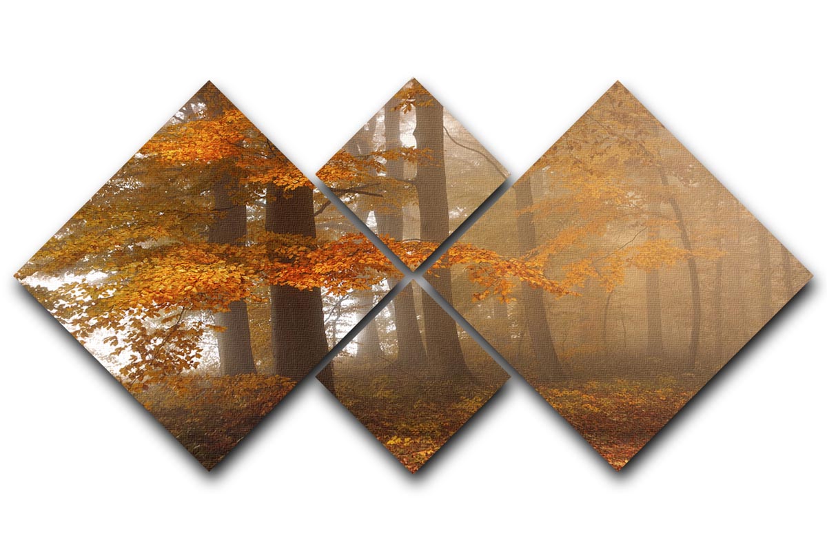 Edge Of The Woods 4 Square Multi Panel Canvas - Canvas Art Rocks - 1