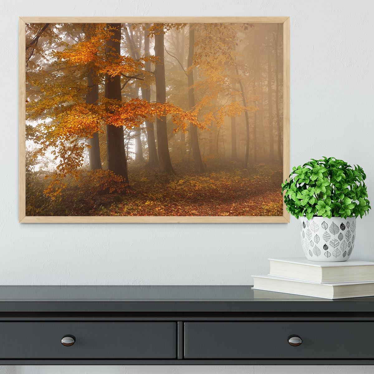 Edge Of The Woods Framed Print - Canvas Art Rocks - 4