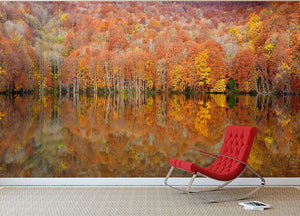 Glowing Autumn Wall Mural Wallpaper - Canvas Art Rocks - 2