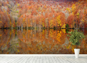 Glowing Autumn Wall Mural Wallpaper - Canvas Art Rocks - 4