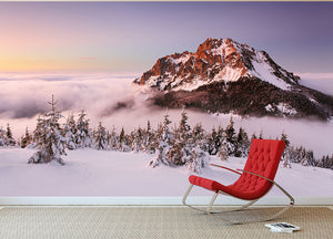 Rozsutec Peak Wall Mural Wallpaper - Canvas Art Rocks - 2