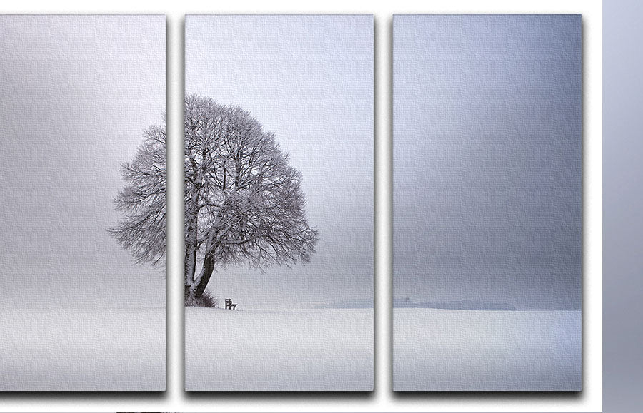 Winter Light 3 Split Panel Canvas Print - Canvas Art Rocks - 1