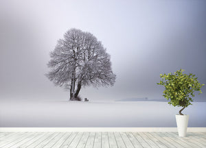 Winter Light Wall Mural Wallpaper - Canvas Art Rocks - 4