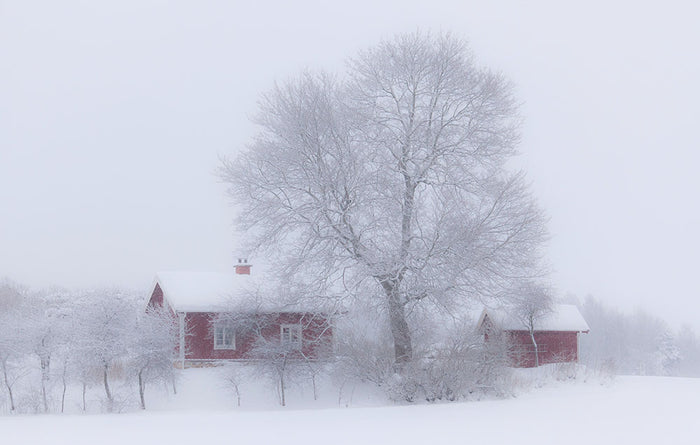 Winter Idyll Wall Mural Wallpaper