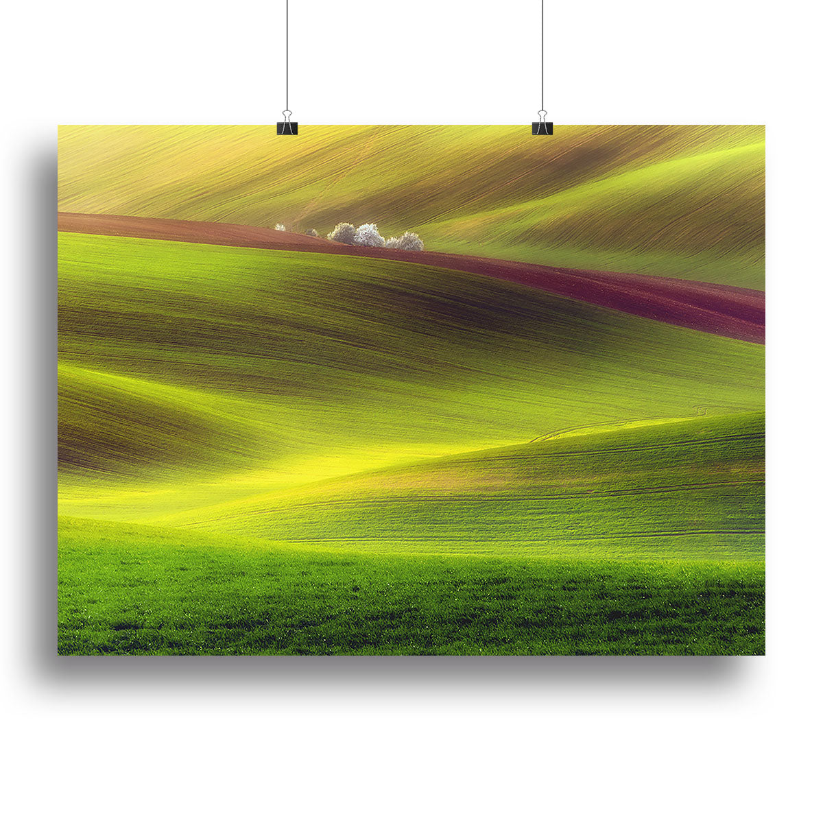 Golden Fields Canvas Print or Poster - Canvas Art Rocks - 2