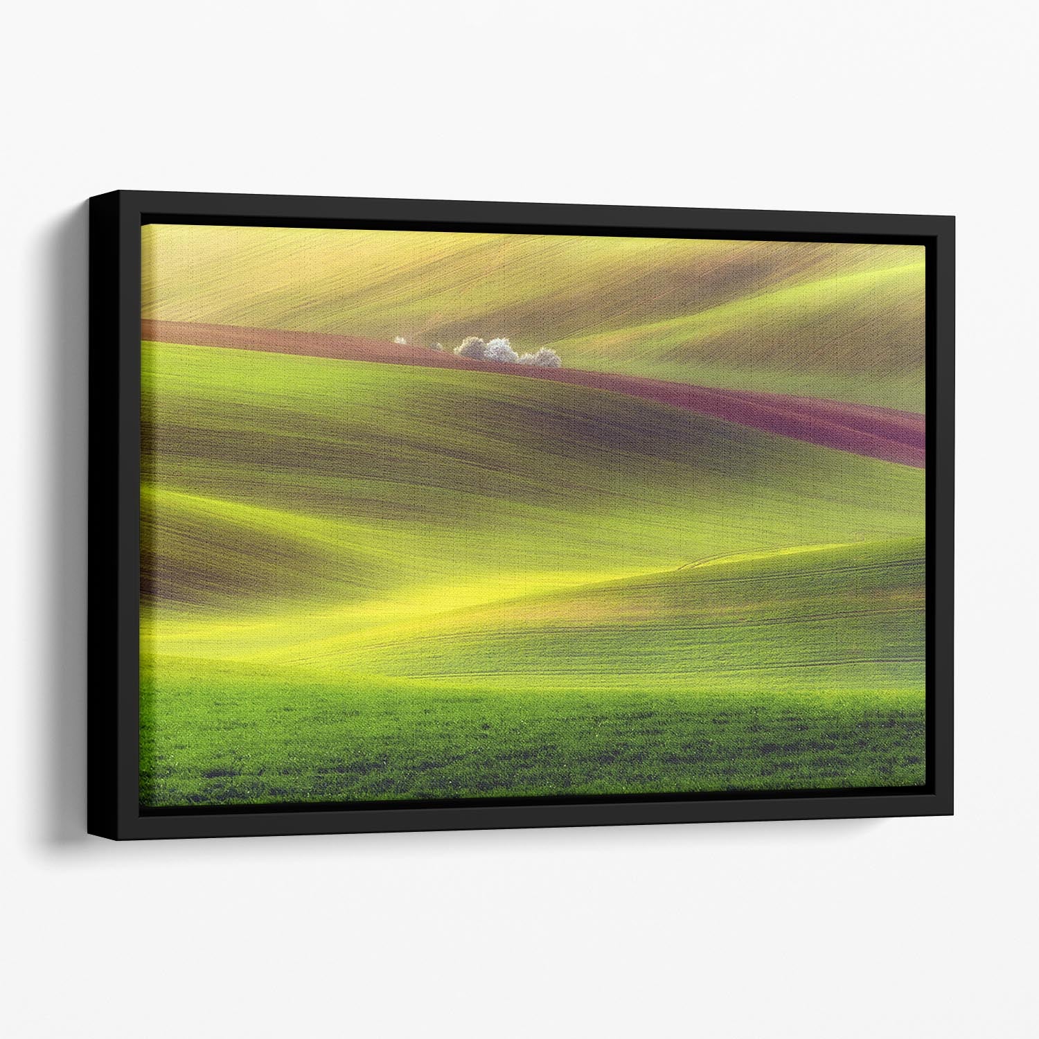 Golden Fields Floating Framed Canvas - Canvas Art Rocks - 1