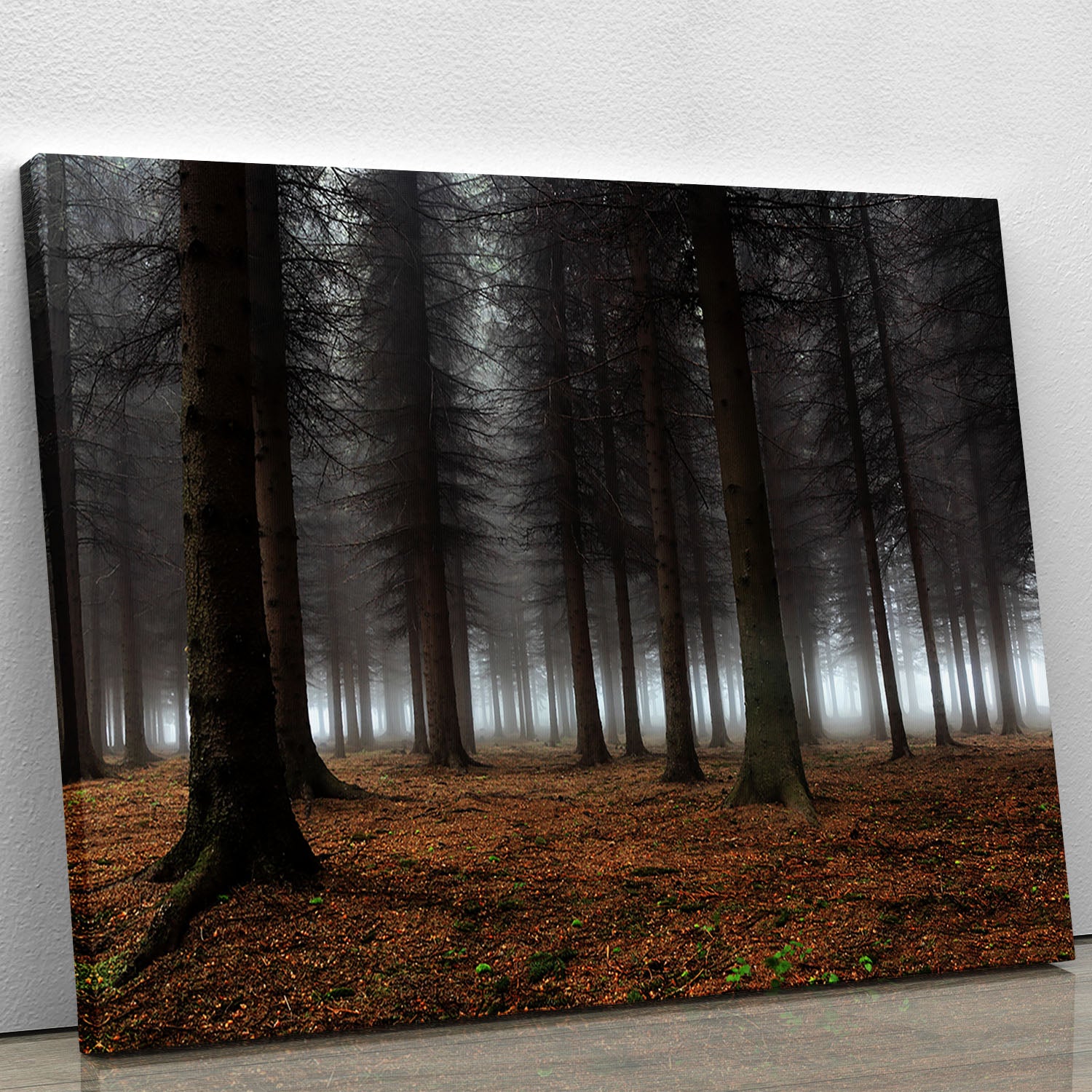 Place Of Silence Canvas Print or Poster - Canvas Art Rocks - 1