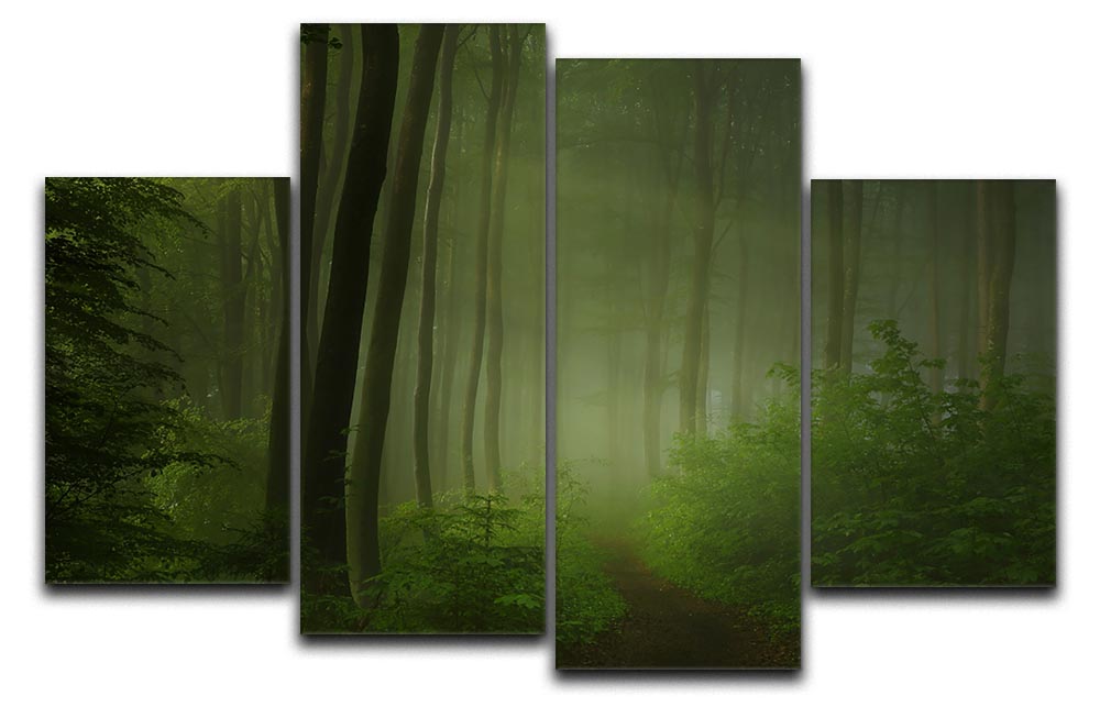 Forest Morning 4 Split Panel Canvas - Canvas Art Rocks - 1