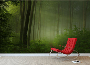 Forest Morning Wall Mural Wallpaper - Canvas Art Rocks - 2