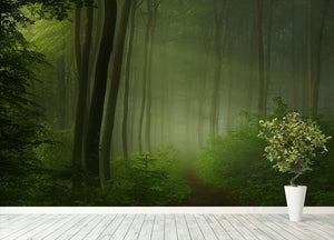 Forest Morning Wall Mural Wallpaper - Canvas Art Rocks - 4