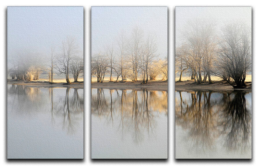 January Morning 3 Split Panel Canvas Print - Canvas Art Rocks - 1