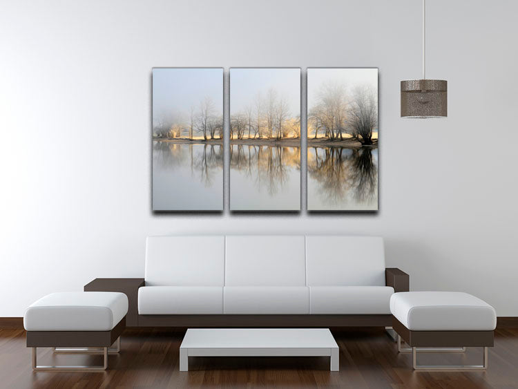 January Morning 3 Split Panel Canvas Print - Canvas Art Rocks - 3