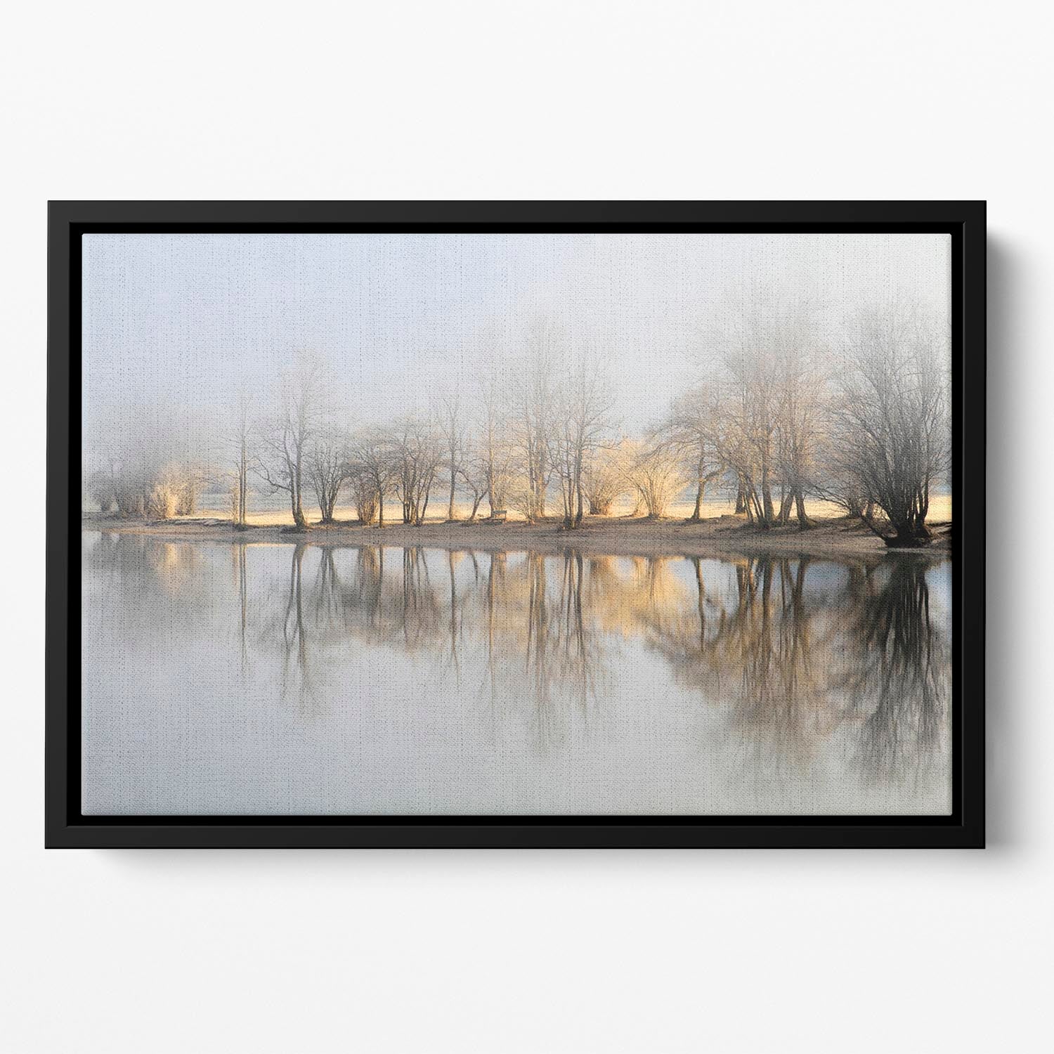 January Morning Floating Framed Canvas - Canvas Art Rocks - 2