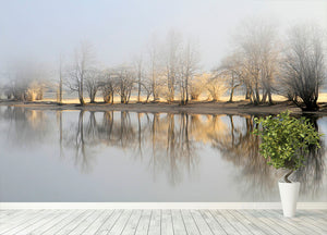 January Morning Wall Mural Wallpaper - Canvas Art Rocks - 4