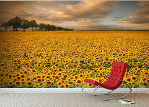 Sunflowers Wall Mural Wallpaper - Canvas Art Rocks - 2