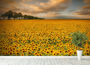 Sunflowers Wall Mural Wallpaper - Canvas Art Rocks - 4