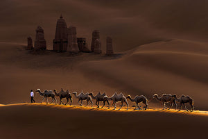 Castle And Camels Wall Mural Wallpaper - Canvas Art Rocks - 1