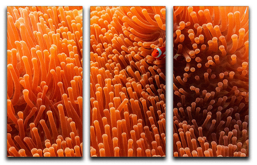 Hide And Seek 3 Split Panel Canvas Print - Canvas Art Rocks - 1