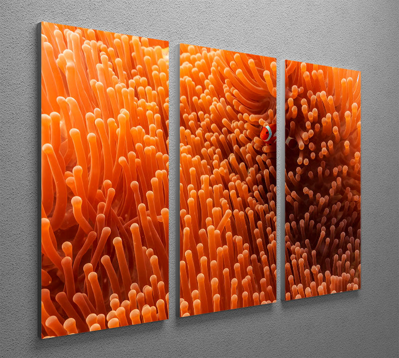 Hide And Seek 3 Split Panel Canvas Print - Canvas Art Rocks - 2