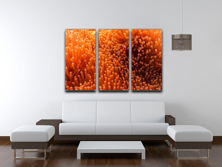 Hide And Seek 3 Split Panel Canvas Print - Canvas Art Rocks - 3